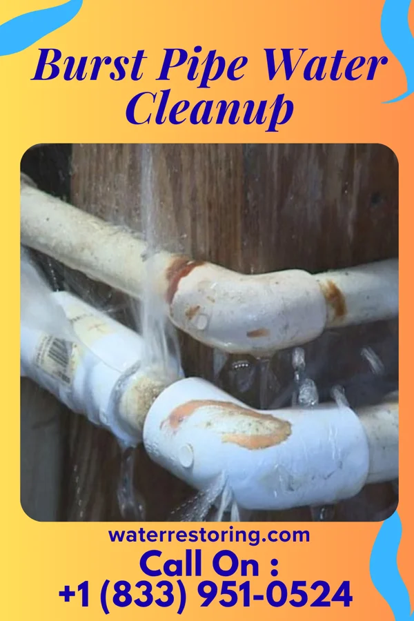 Burst Pipe Water Cleanup in Central Point, OR
