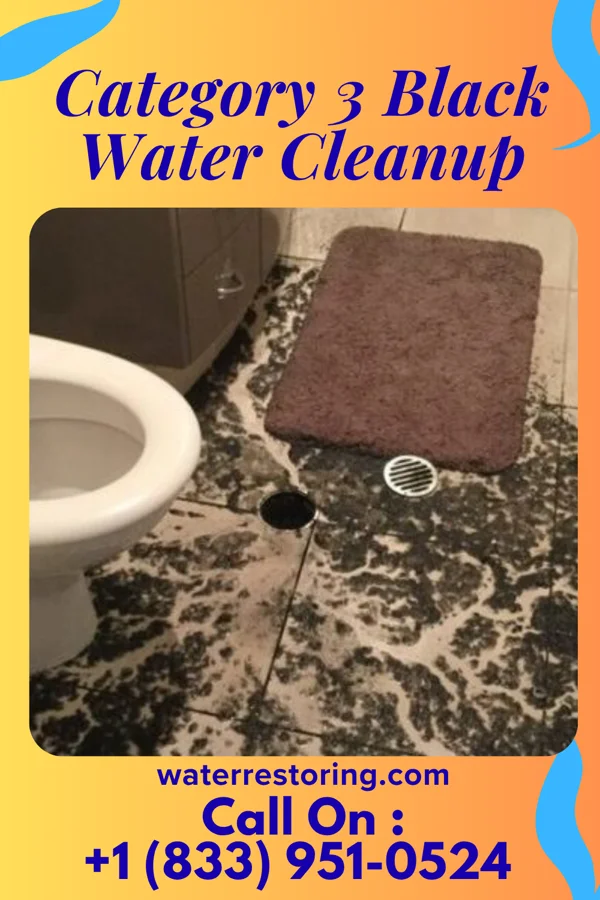 Category 3 Black Water Cleanup in Central Point, OR